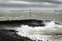 Westerschelde2.jpg