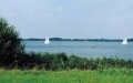 Biesbosch3.jpg