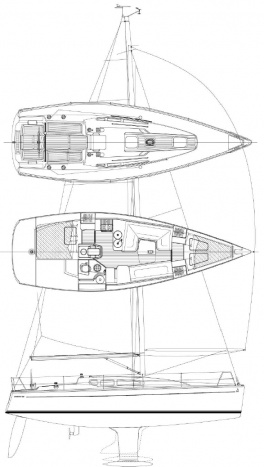 Dehler 35