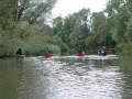 Biesbosch6.jpg